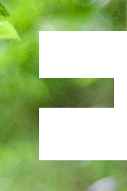 e2_img_04.png