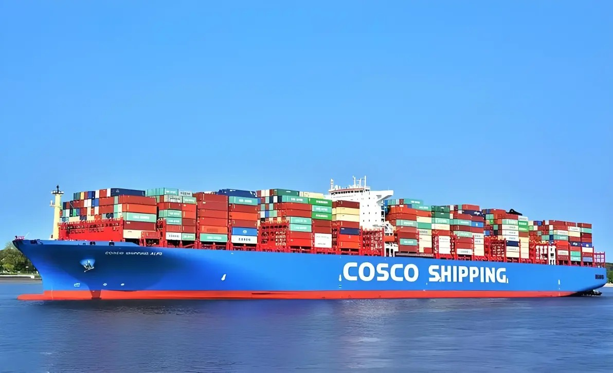 2026 ���ں���ó��װ�亣��Ӫҵ�����Ȳ���ů