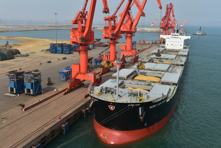 ʲô��ɢ����,ɢ��������Щ����