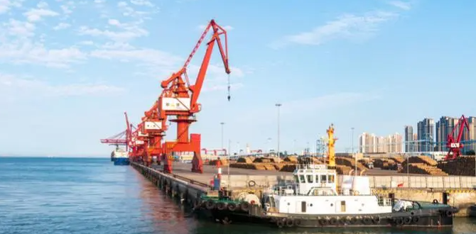 ����Ȧ��������ó���˰��ֺ��߿�ͨ