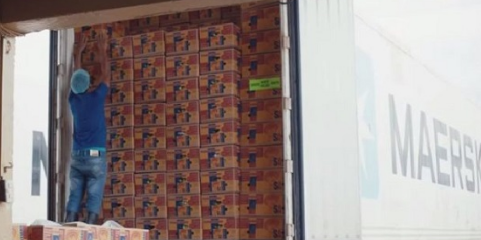 ���˼�װ��������Ƕ�����