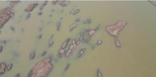 ��ʱ|AG(AsiaGaming)������Ӫ��